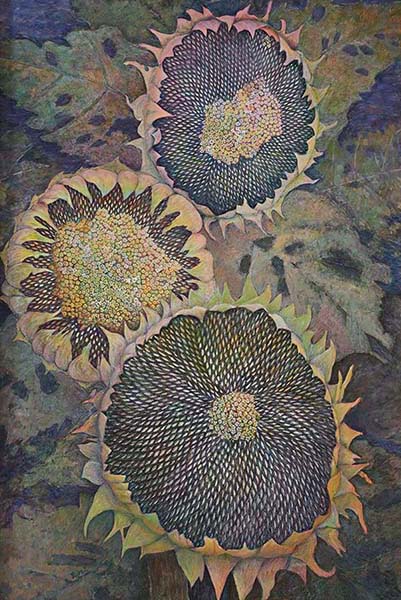 2023年4月　第71回 光陽展　一般　阪田 恵美　（ｻｶﾀ ｴﾐ）　　向日葵　（水）　変50
